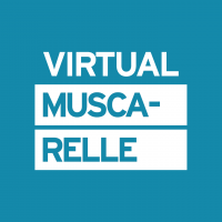 VirtualMuscarelle_onecolor_blu