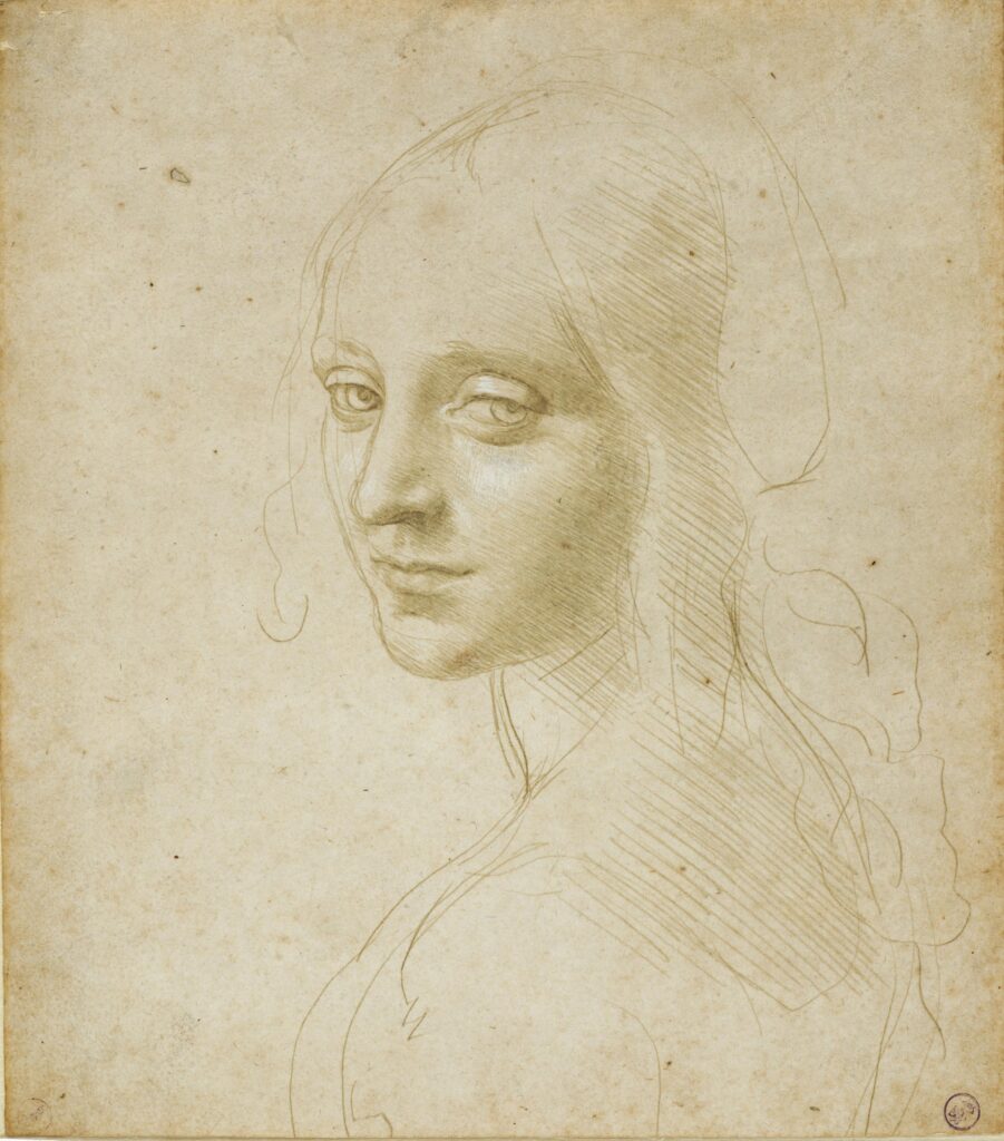 Leonardo da Vinci and the Idea of Beauty