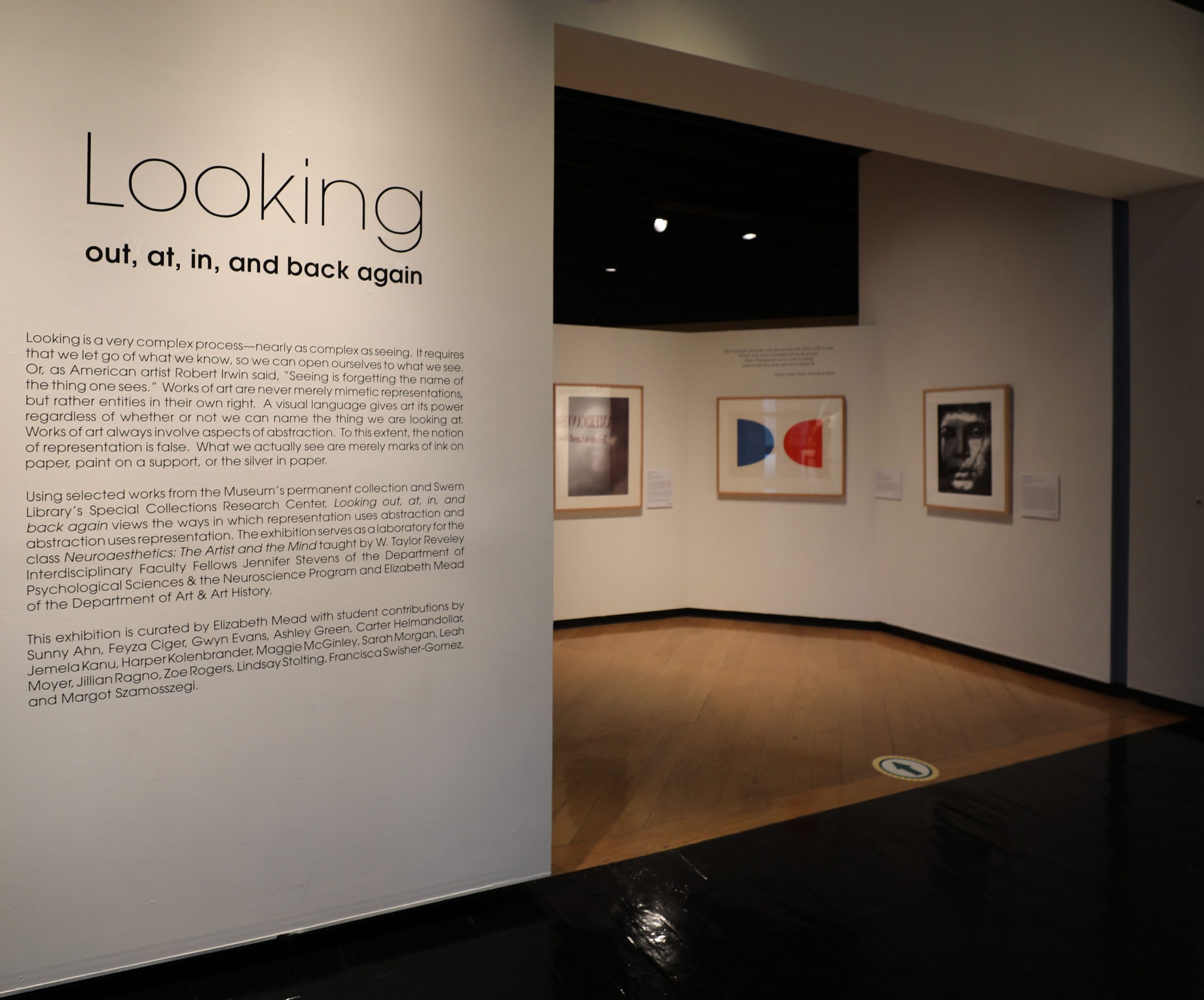 CURATOR TALK: Looking out, at, in and back again