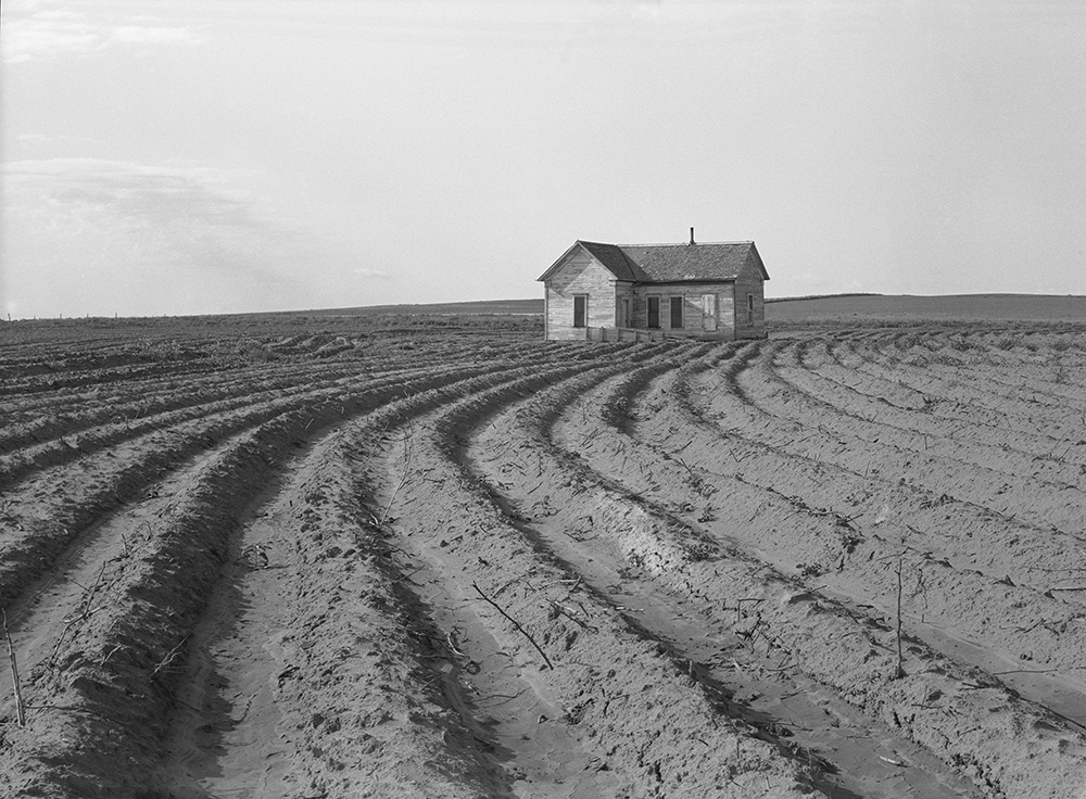 America in Black and White: Depression-Era Photographs from the Farm Security Administration