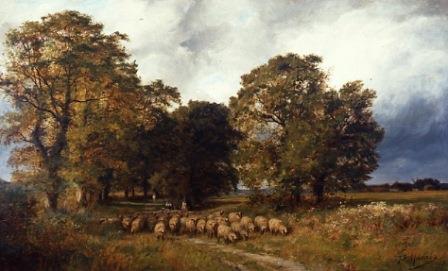 Landscape with sheep