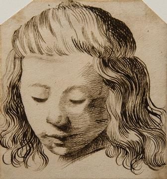 Head of a young boy