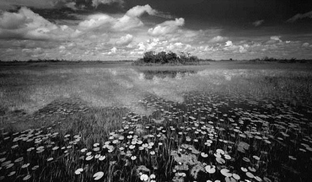 Loxahatchee Wildlife Refuge 1