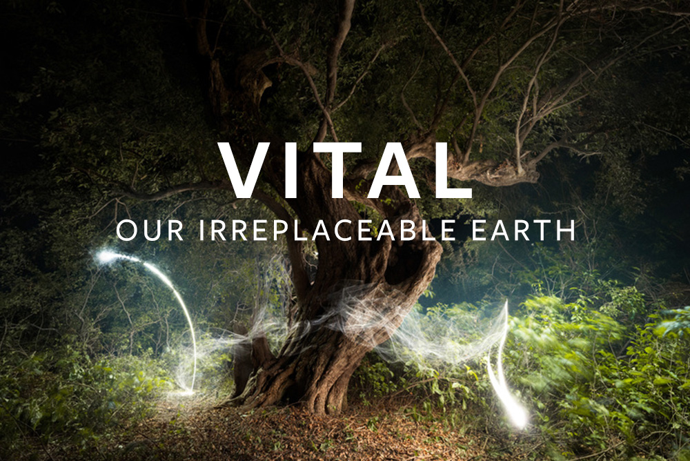 Opening of “VITAL: Our Irreplaceable Earth”