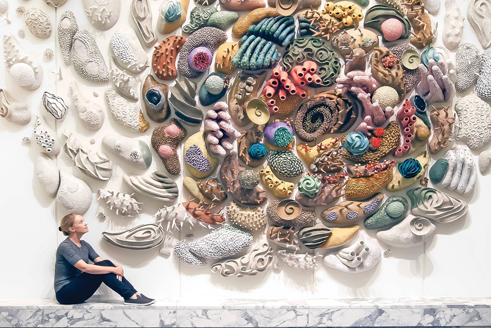 Visualizing Climate Change Through the Fragile Beauty of Marine Life