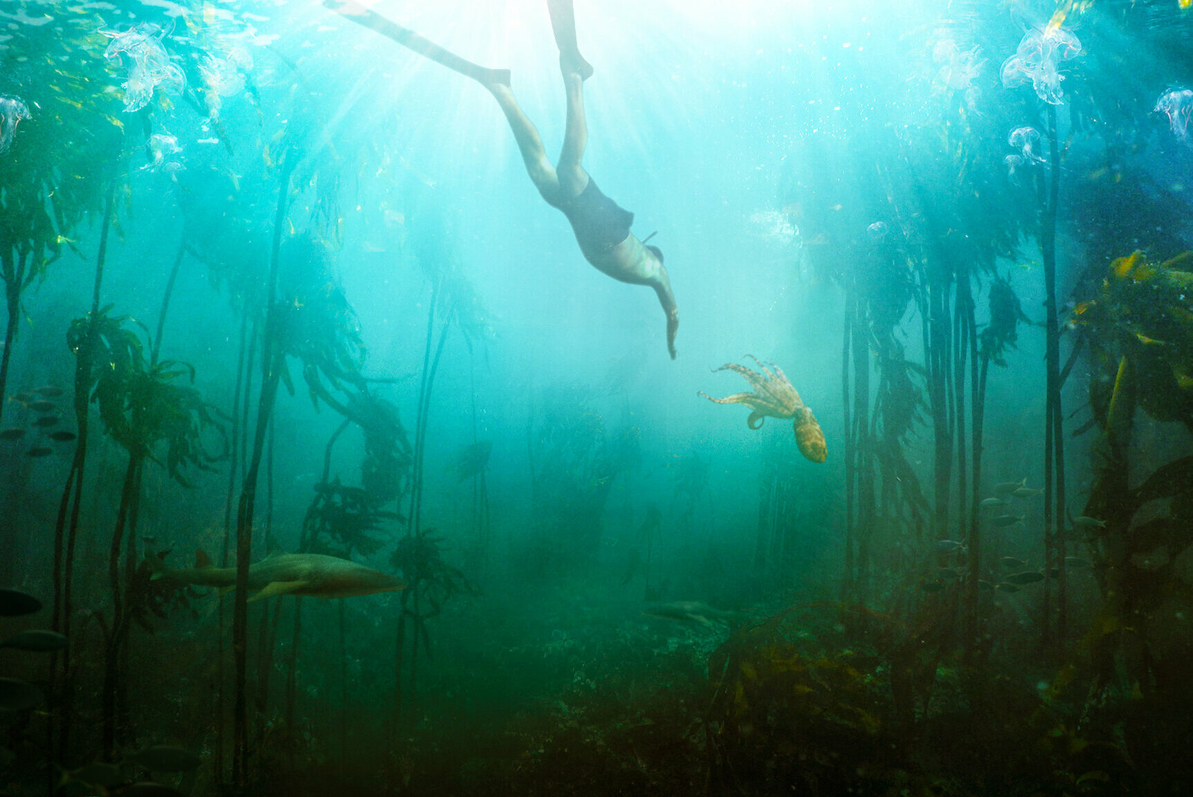 Film Screening: My Octopus Teacher