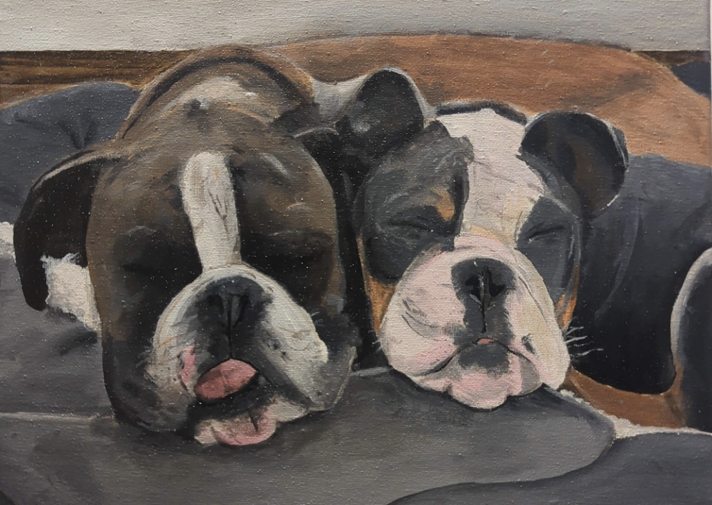 Pet Portrait Workshop