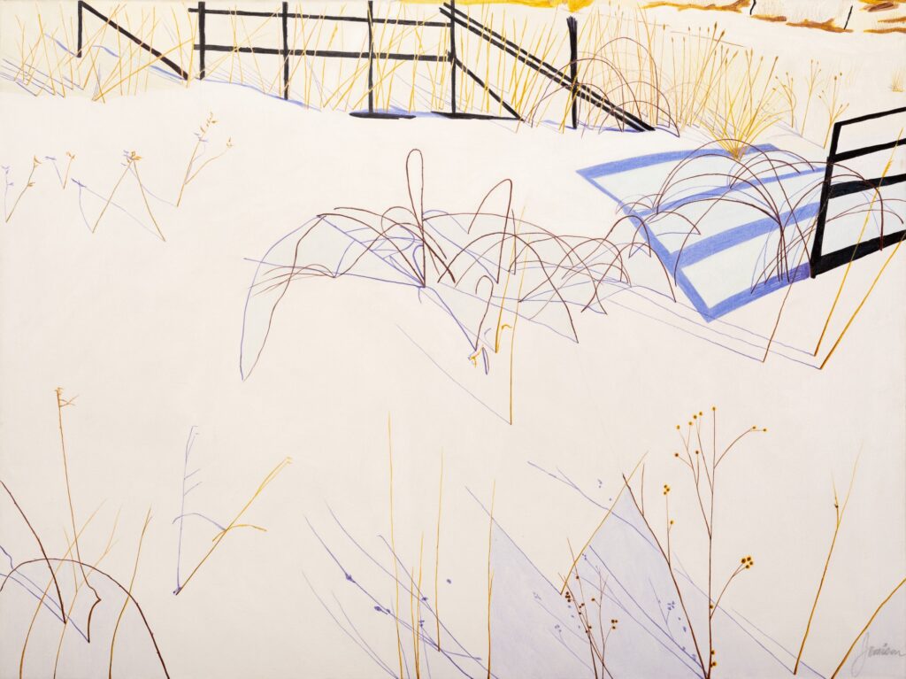 Resilient Beauty: Selections from the Native American Art Collection