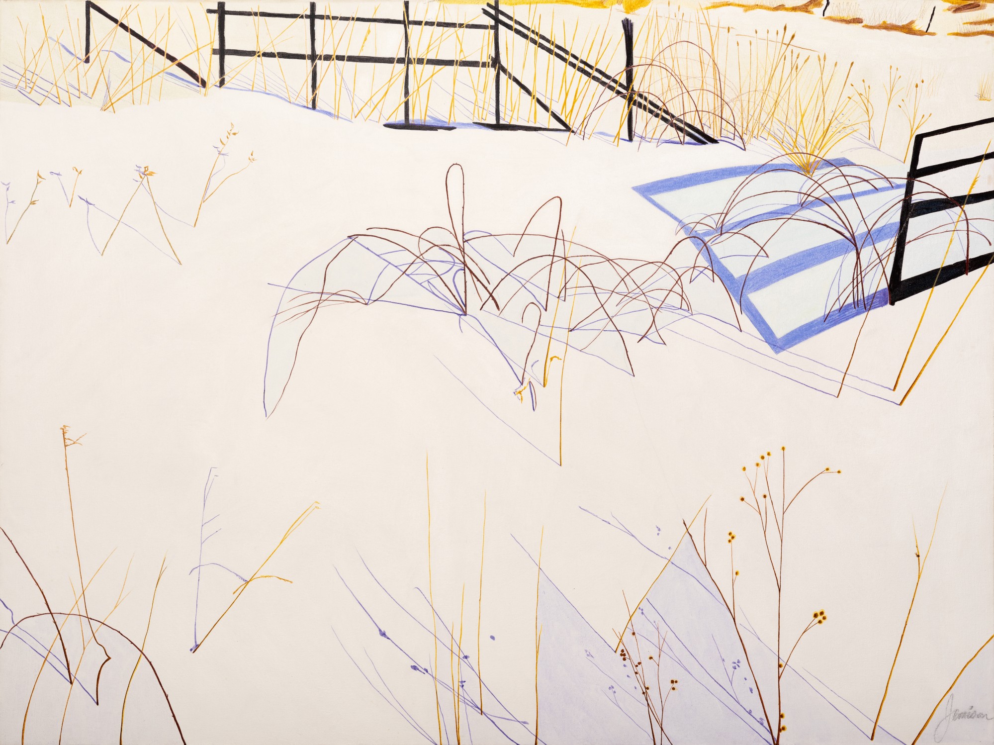 Resilient Beauty: Selections from the Native American Art Collection